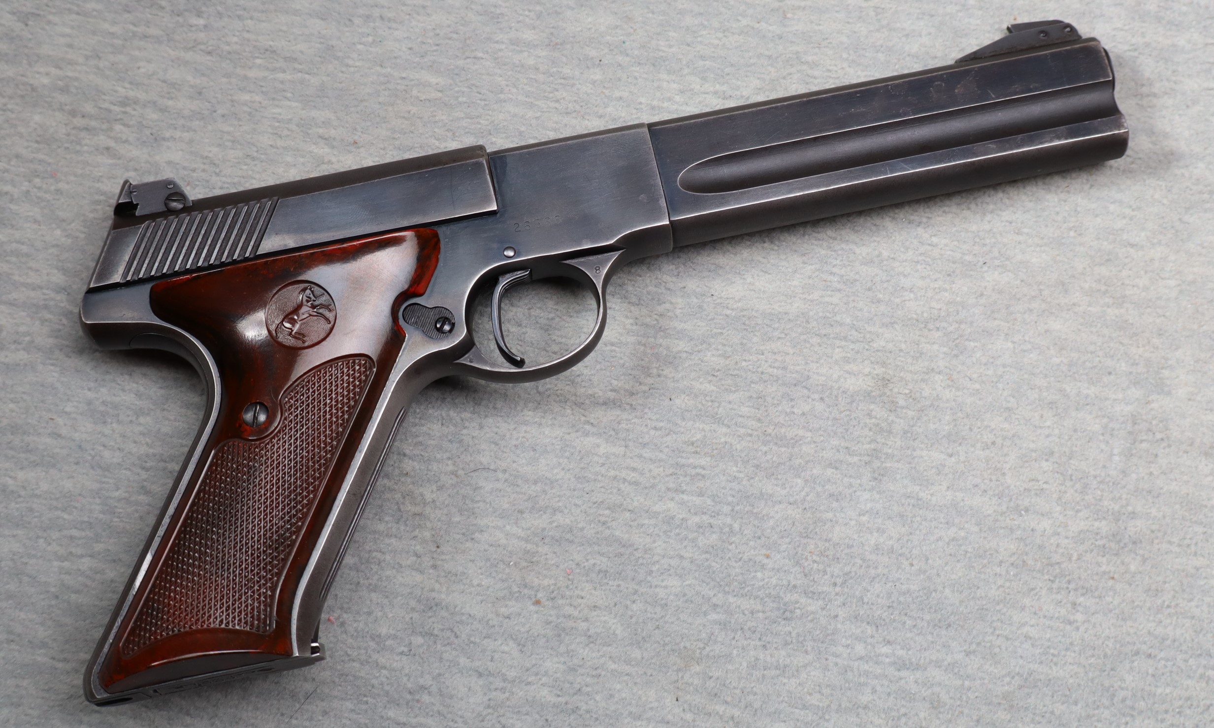Colt ~ Match target ~ .22 Long Rifle | Mack's Prairie Wings